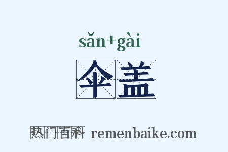 伞盖是什么意思的图片